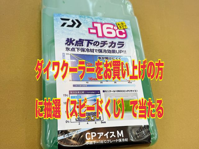 ダイワクーラーキャンペーン